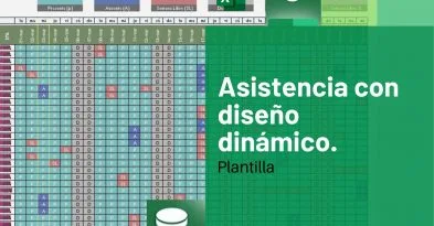 Asistencia con diseño dinamico
