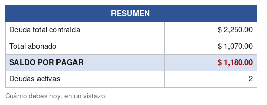 Resumen con deuda total, abonado, saldo por pagar y número de deudas activas